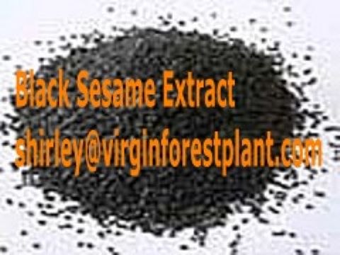 Black Sesame Extract (Shirley At Virginforestplant Dot Com)
